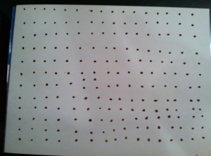 192 dots are drawn on a paper with marker. 12 down and 16 across